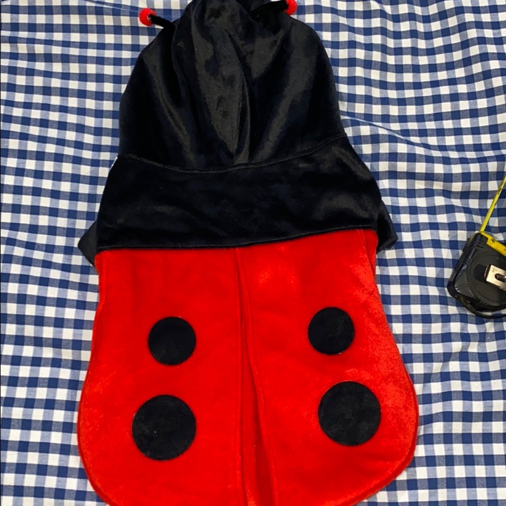 Lady bug dog outfit